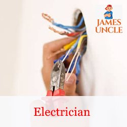 Electrician Mr. Pintu Mondal in Sheoraphuli
